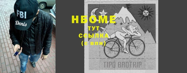 стаф Новокубанск