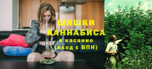 хмурый Няндома