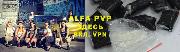 дживик Осташков