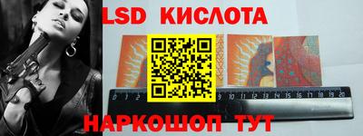 крисы Будённовск