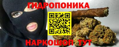 крисы Будённовск