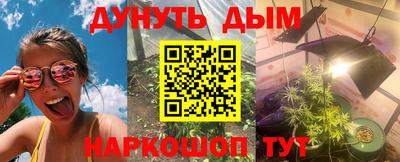 крисы Будённовск