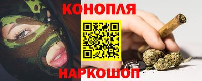 крисы Будённовск
