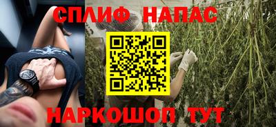 крисы Будённовск
