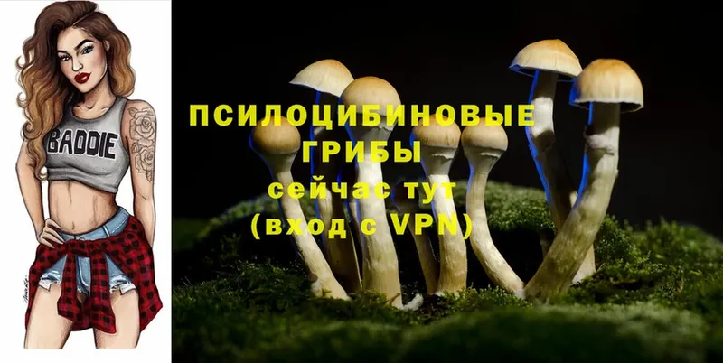 Галлюциногенные грибы Cubensis  MEGA ссылки  Мыски 