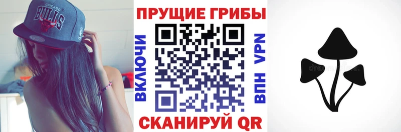 купить наркотик  Мыски  Галлюциногенные грибы Psilocybe 