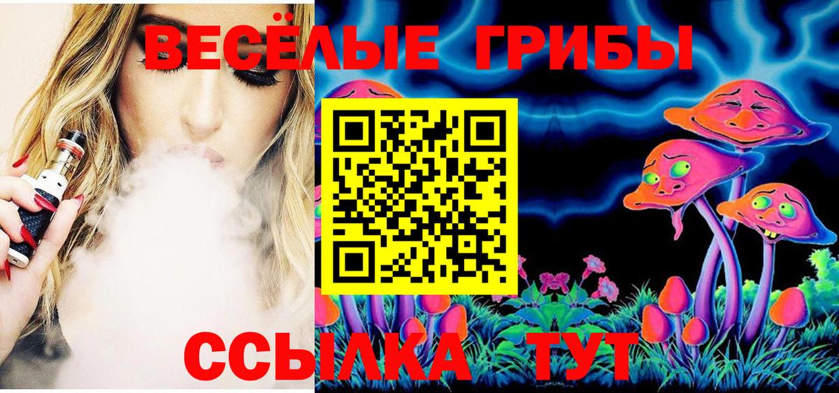 Мыски  Псилоцибиновые грибы Cubensis  Галлюциногенные грибы прущие грибы  Вход с VPN 
