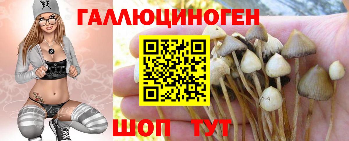 Мефедрон  Мыски  Хэш  A-PVP  Вход с VPN  ГАШИШ  Мяу-Мяу  Cocaine  МАРИХУАНА 